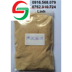 Micro bate enzyme xử lý nước cắt tảo trong nuôi trồng thủy sản